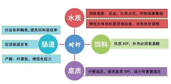 中國養殖基地 yzjidi.com