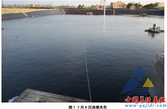 中國養殖基地 yzjidi.com