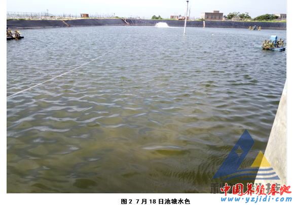 中國養殖基地 yzjidi.com
