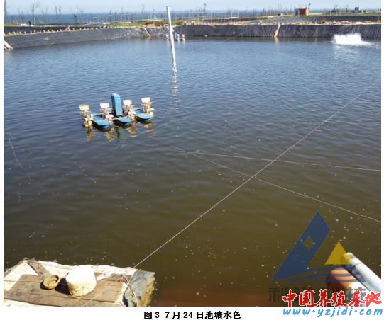 中國養殖基地 yzjidi.com