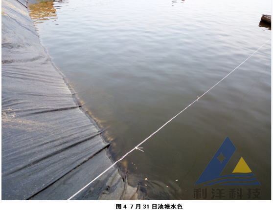 中國養殖基地 yzjidi.com