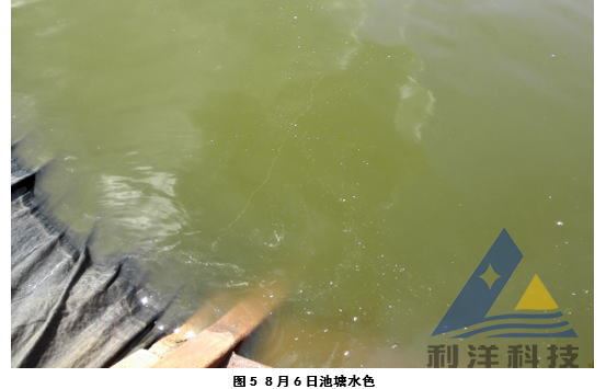 中國養殖基地 yzjidi.com