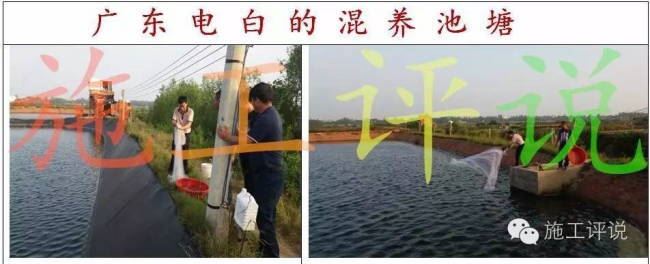 中國養殖基地 yzjidi.com