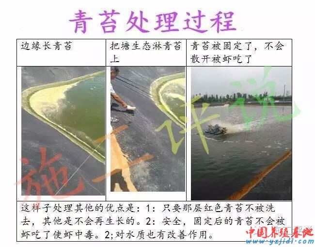 中國養殖基地 yzjidi.com