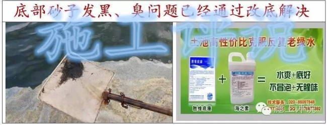 中國養殖基地 yzjidi.com
