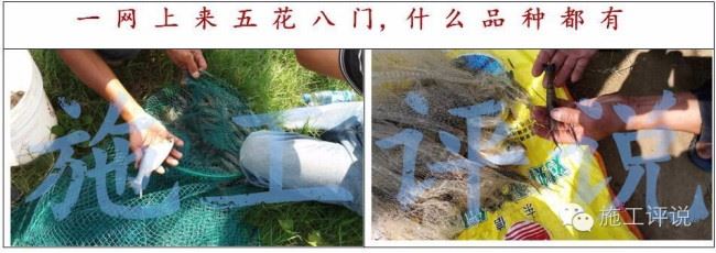 中國養殖基地 yzjidi.com