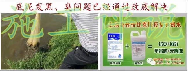 中國養殖基地 yzjidi.com