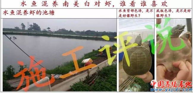 中國養殖基地 yzjidi.com