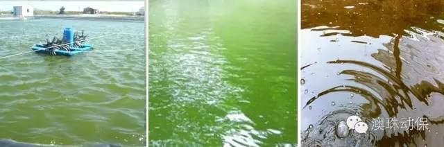 中國養殖基地 yzjidi.com