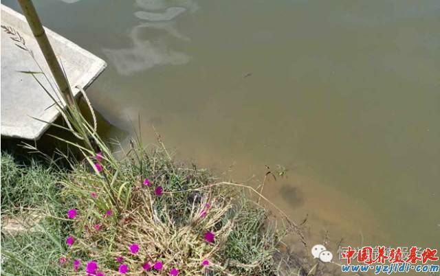 中國養殖基地 yzjidi.com