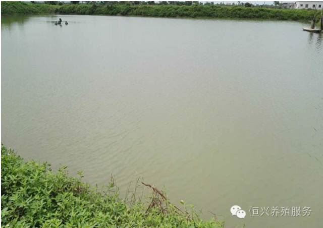 中國養殖基地 yzjidi.com