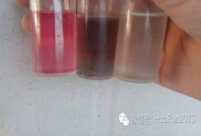 中國養殖基地 yzjidi.com