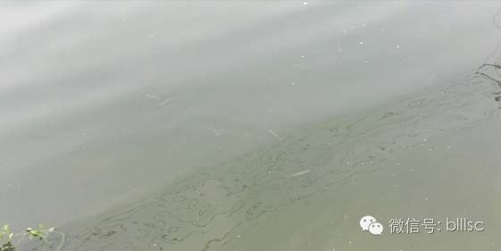 中國養殖基地 yzjidi.com