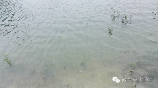 中國養殖基地 yzjidi.com
