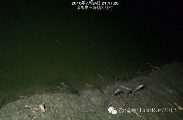 中國養殖基地 yzjidi.com