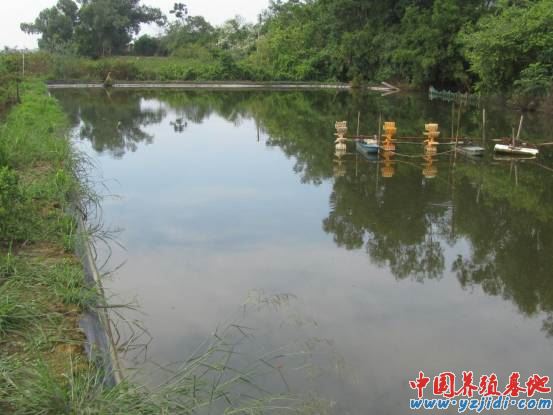 中國養殖基地 yzjidi.com