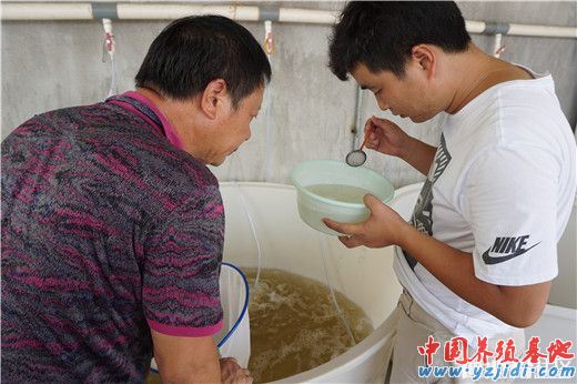 中國養殖基地 yzjidi.com
