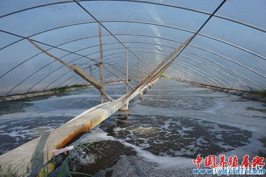 中國養殖基地 yzjidi.com