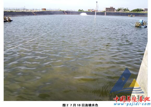 中國養殖基地 yzjidi.com