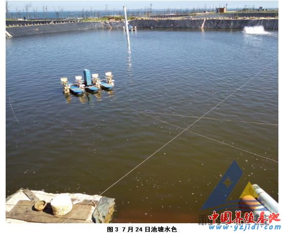 中國養殖基地 yzjidi.com