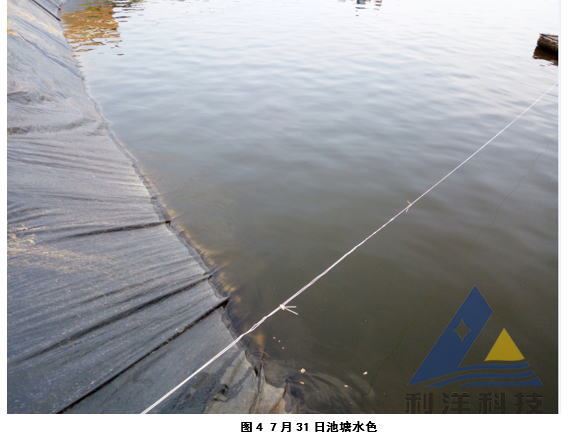 中國養殖基地 yzjidi.com