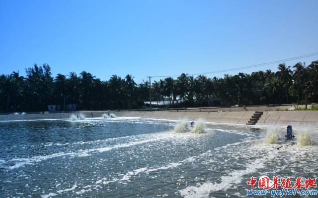 中國養殖基地 yzjidi.com