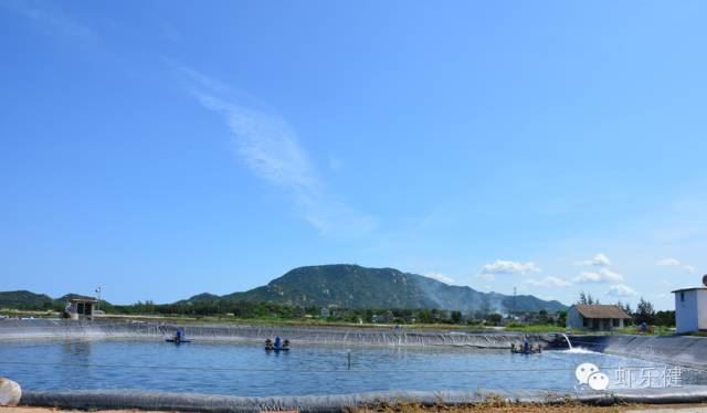 中國養殖基地 yzjidi.com
