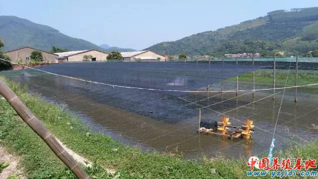 中國養殖基地 yzjidi.com