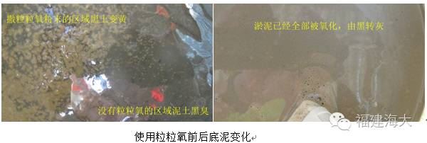 中國養殖基地 yzjidi.com