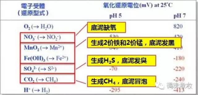 中國養殖基地 yzjidi.com
