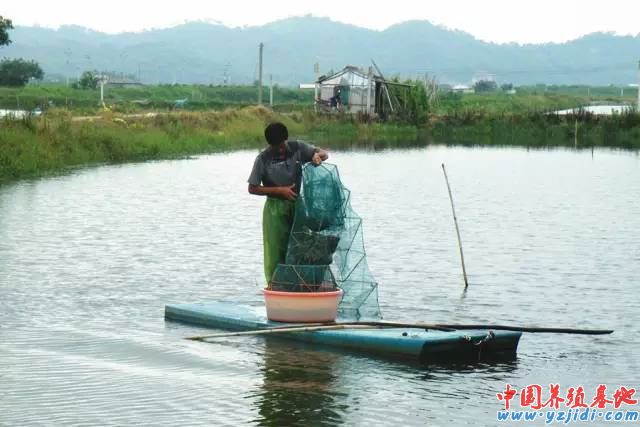 中國養殖基地 yzjidi.com
