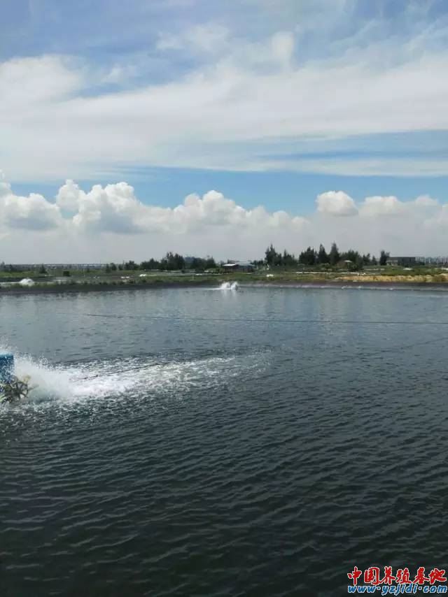中國養殖基地 yzjidi.com