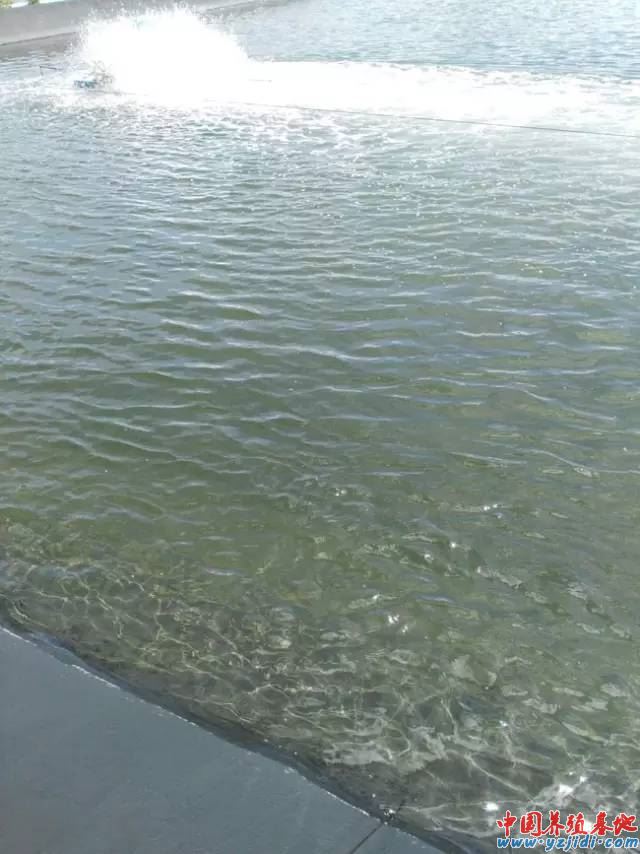 中國養殖基地 yzjidi.com