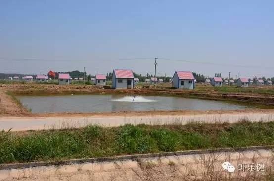 中國養殖基地 yzjidi.com