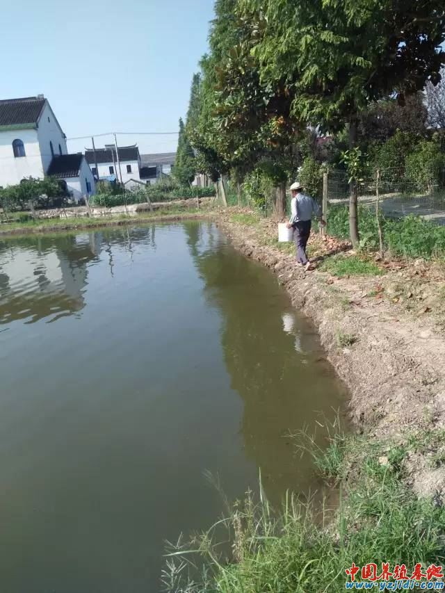中國養殖基地 yzjidi.com