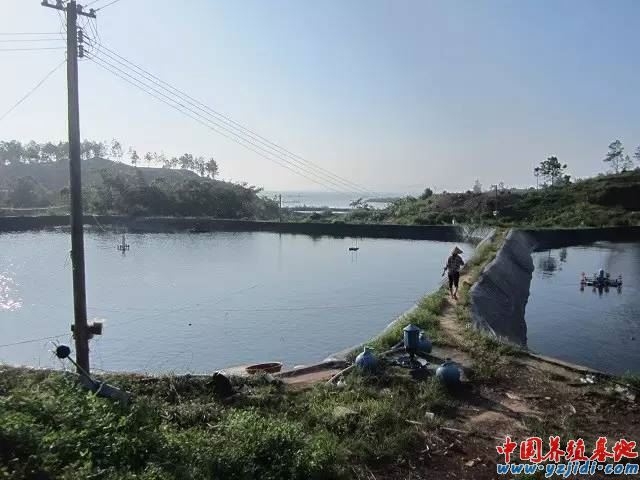 中國養殖基地 yzjidi.com
