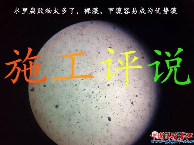 中國養殖基地 yzjidi.com