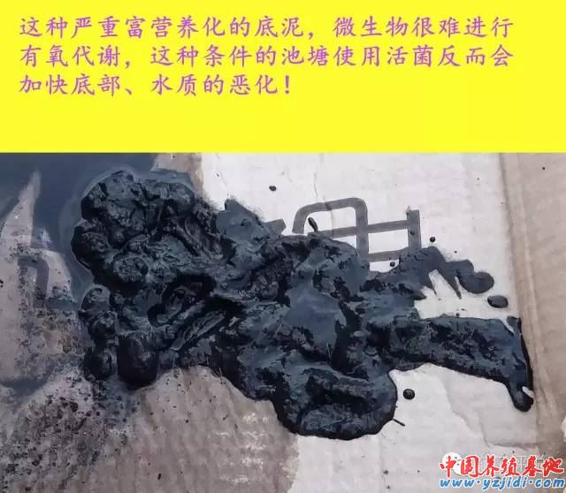 中國養殖基地 yzjidi.com