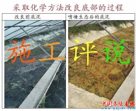 中國養殖基地 yzjidi.com