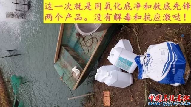 中國養殖基地 yzjidi.com