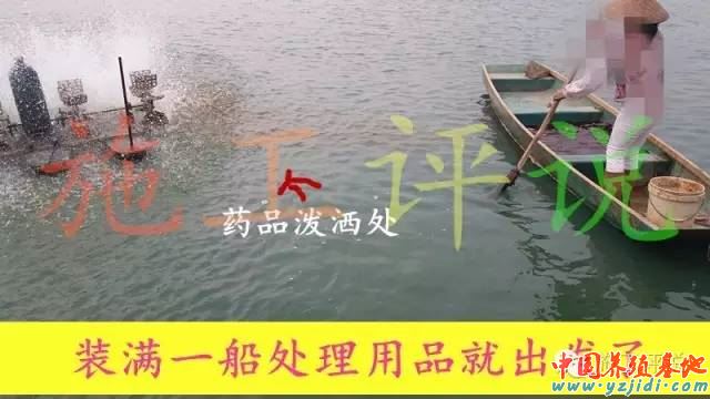 中國養殖基地 yzjidi.com