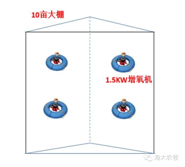 中國養殖基地 yzjidi.com