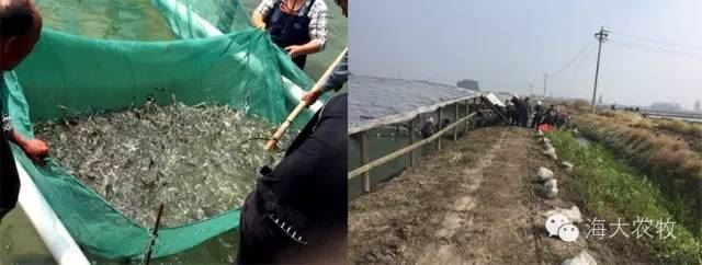 中國養殖基地 yzjidi.com
