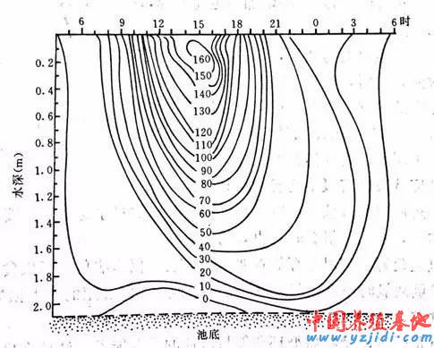 中國養殖基地 yzjidi.com