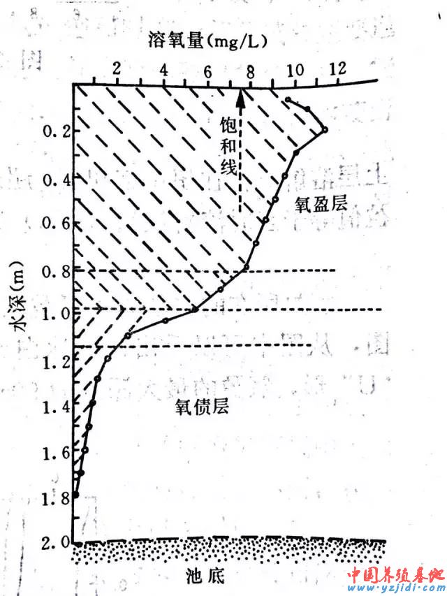 中國養殖基地 yzjidi.com