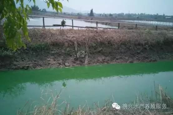中國養殖基地 yzjidi.com