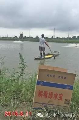中國養殖基地 yzjidi.com