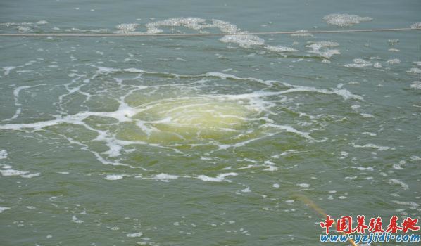 中國養殖基地 yzjidi.com