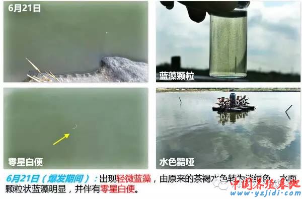 中國養殖基地 yzjidi.com