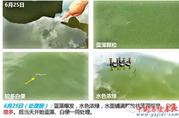 中國養殖基地 yzjidi.com